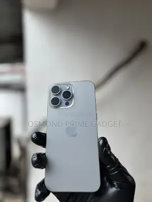 Apple iPhone 15 Pro Max 256 GB Silver