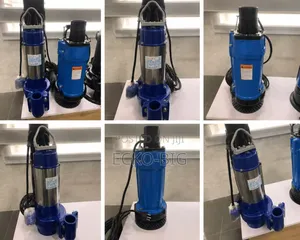 Electric Submersible Water and Sewage Pumps