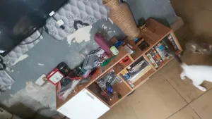 TV Low Shelves