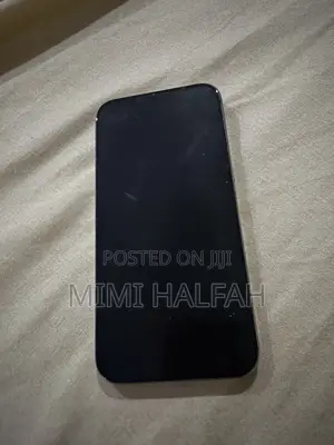 Apple iPhone 15 Pro Max 512 GB Gray