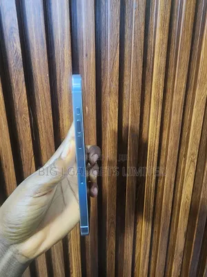 Apple iPhone 15 Pro Max 256 GB Silver