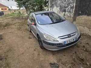 Peugeot 307 2001 Gray