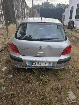 Peugeot 307 2001 Gray