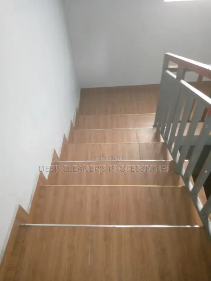 Professional Industrial Cleaner's
