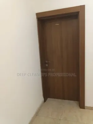 Professional Industrial Cleaner's