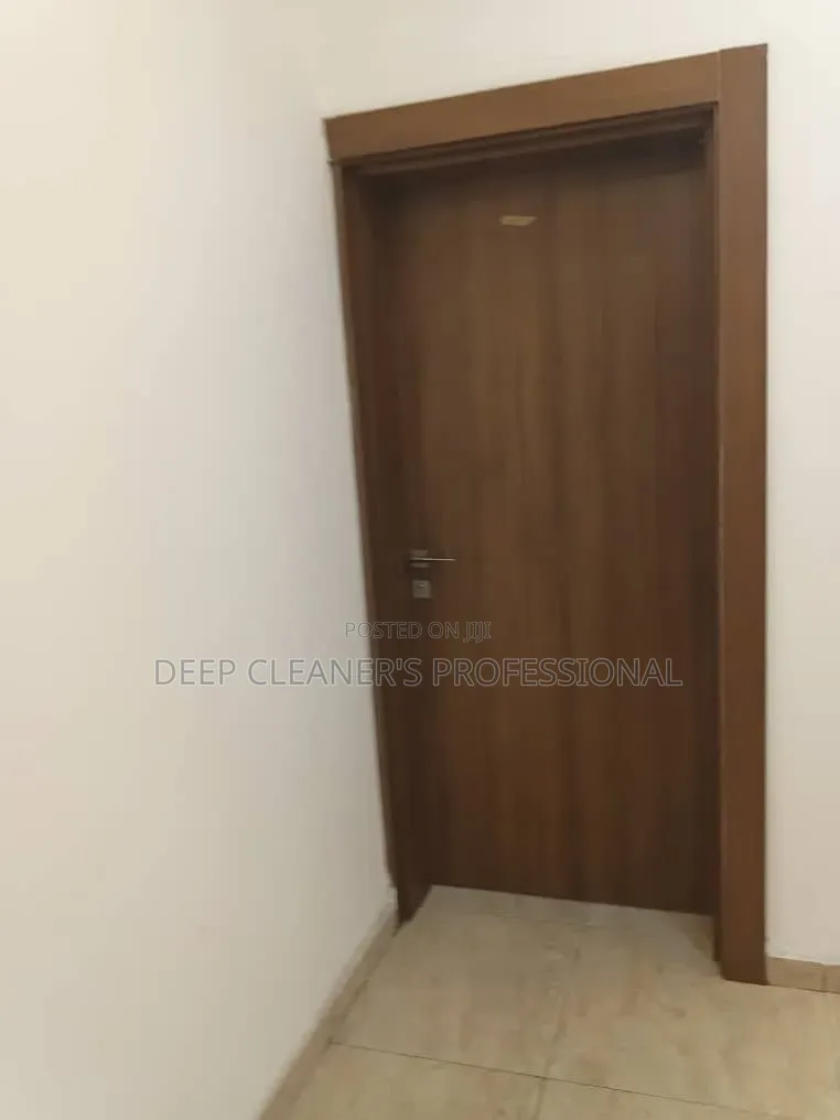 Professional Industrial Cleaner's