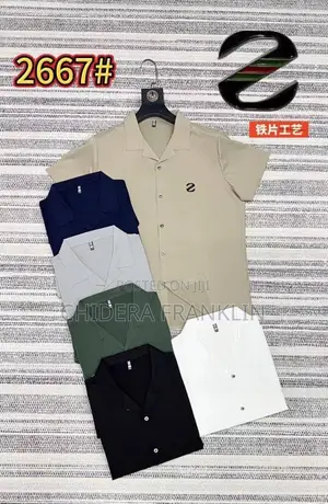 I Sells All Kinds of Men’s Wear (Polo Condom T Shirt and More)