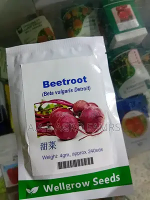 BETROOT Seeds