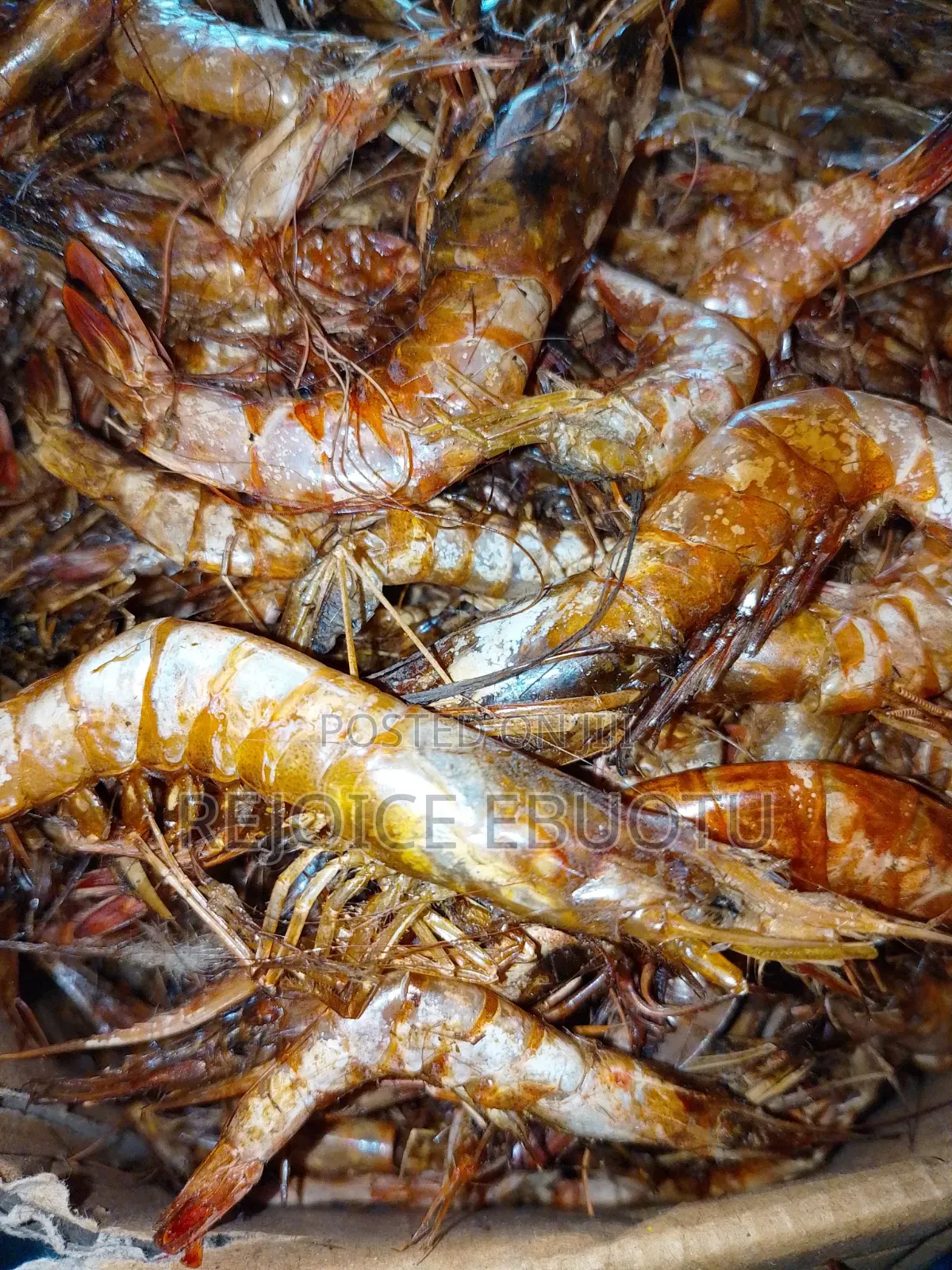 Dried Oporo/Prawns