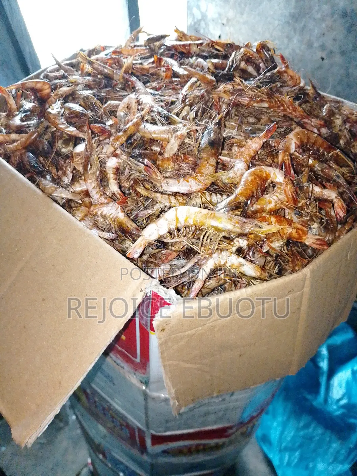 Dried Oporo/Prawns