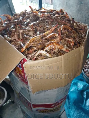 Dried Oporo/Prawns