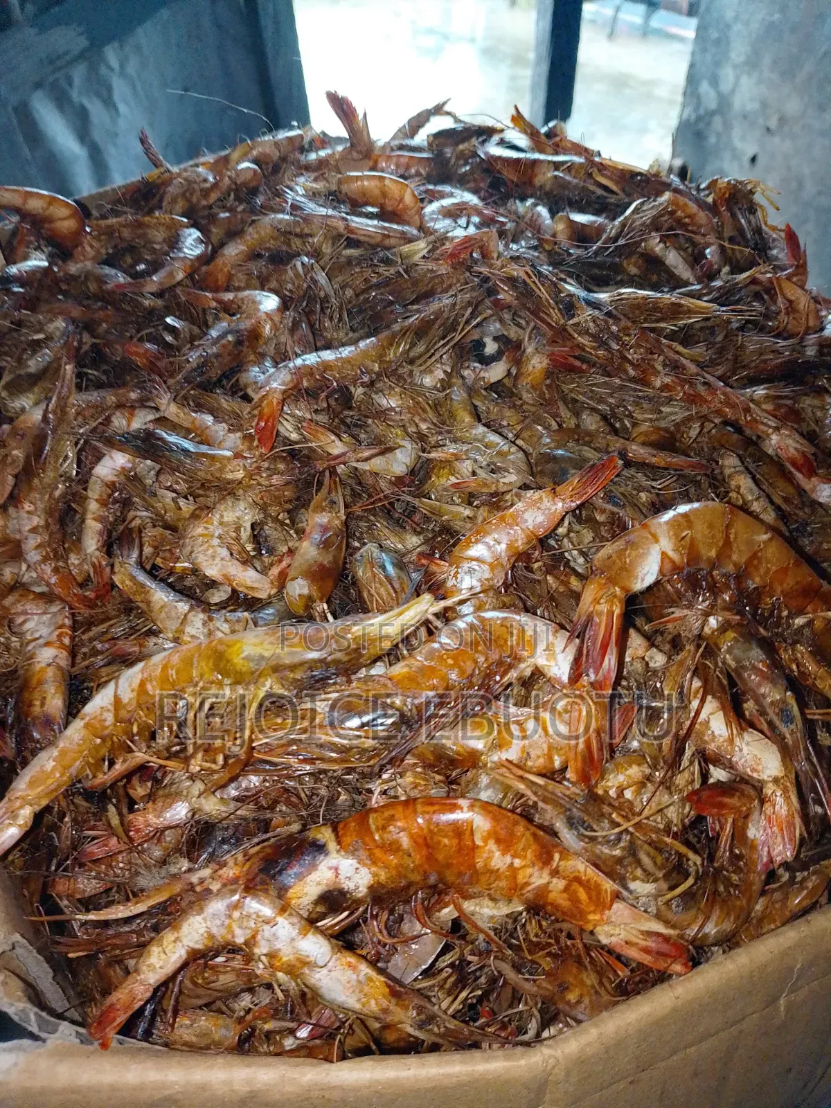 Dried Oporo/Prawns