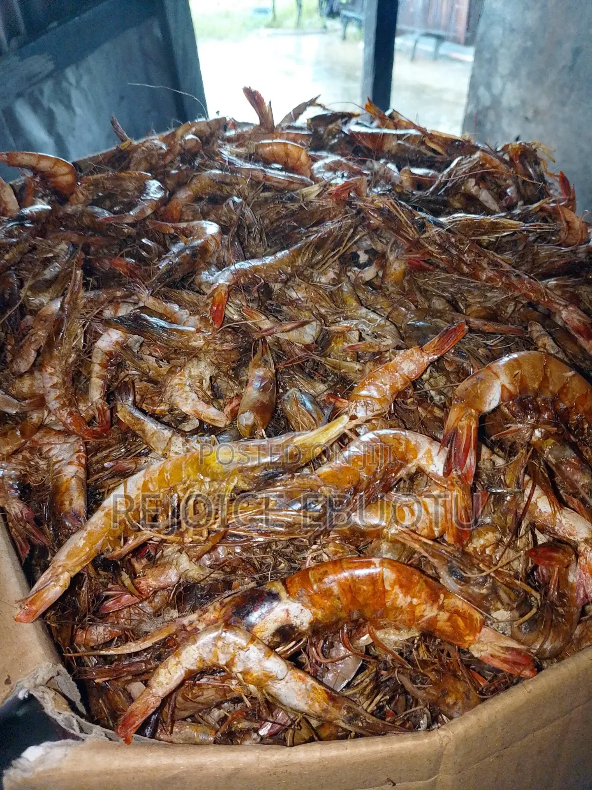 Dried Oporo/Prawns