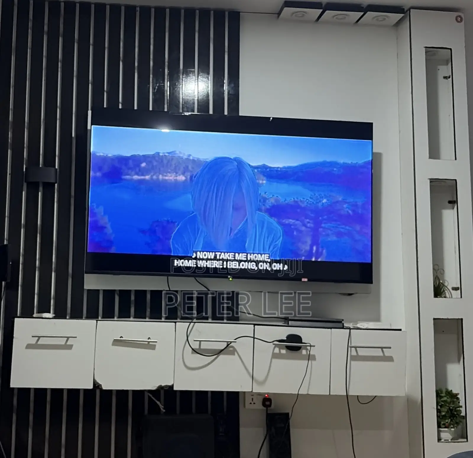 TV Console Furniture