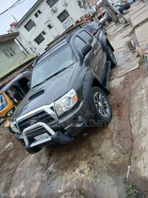 Toyota Tacoma 2007 Gray