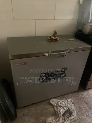 Scanfrost Freezer