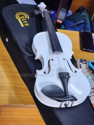 Acoustic Violin