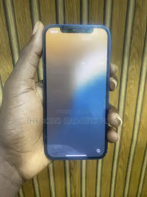 Apple iPhone 12 64 GB Blue