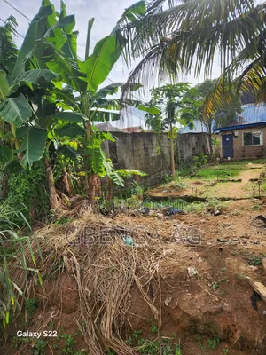 Half Plot With 2 3 Bedroom Flats for Sale at Peace Estate Ipaja