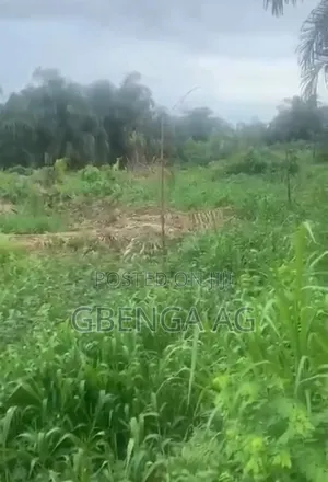 83 Hectares of Land for Sale at Imeko Afon