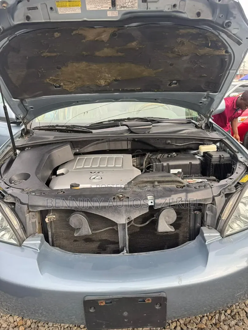 Lexus RX 330 2005 Blue