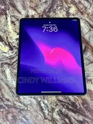 Apple iPad Pro 12.9 (2018) 64 GB Gray