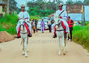 Horses and Chariots