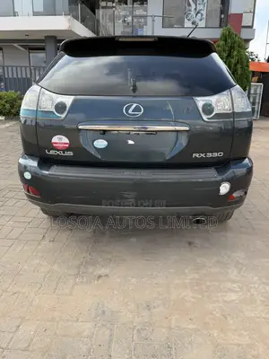 Lexus RX 330 2005 Gray