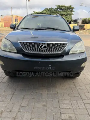 Lexus RX 330 2005 Gray