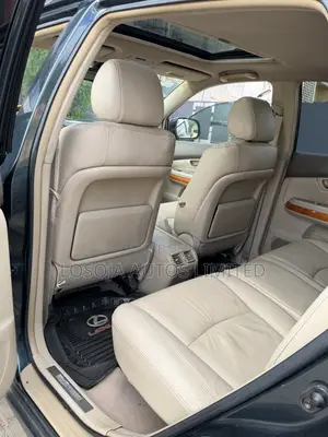 Lexus RX 330 2005 Gray