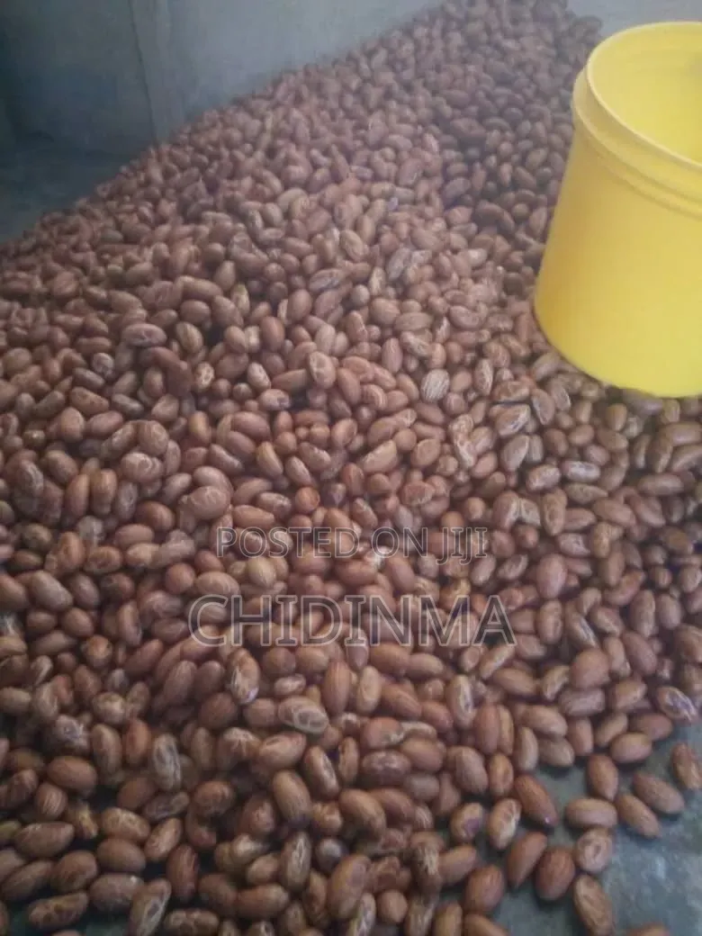 Bitter Kola