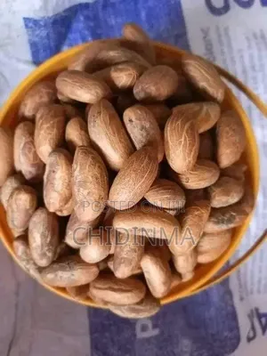 Bitter Kola