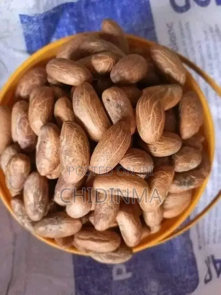 Bitter Kola