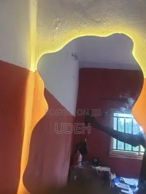 Light Mirror
