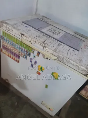 200l Haier Thermocool Chest Deep Freezer