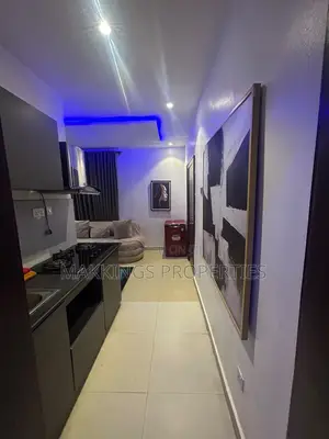 Furnished Mini Flat in Lekki Phase 1 for rent