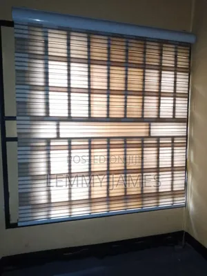 Big Center Rug and 2 Window Blinds