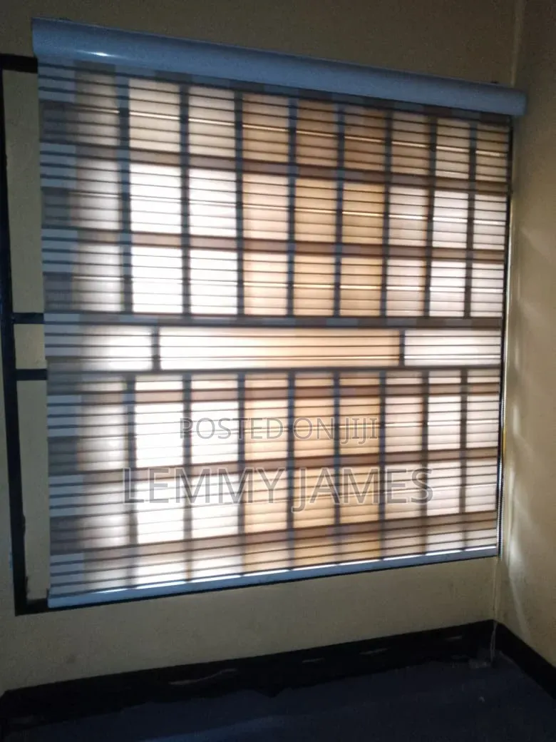 Big Center Rug and 2 Window Blinds