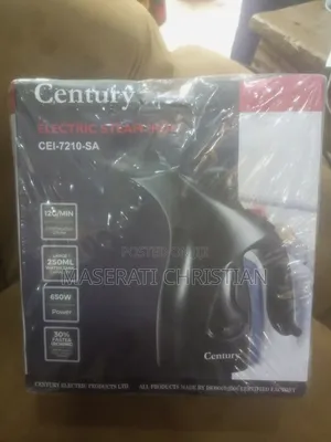 Electric Steam Iron