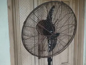 Ox Standing Fan (20 Inches)