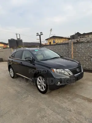 Lexus RX 350 2010 Gray