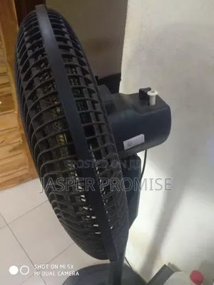 Fineco Standing Fan