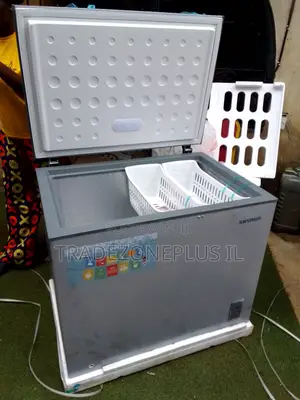 Skyrun BD-260A Business Chest Freezer