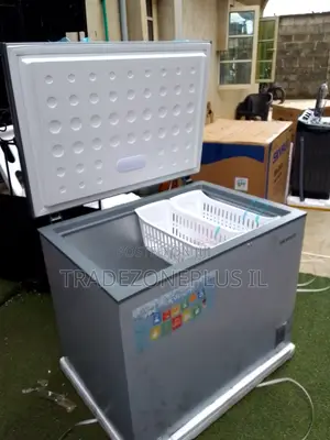 Skyrun BD-260A Commercial Deep Freezer