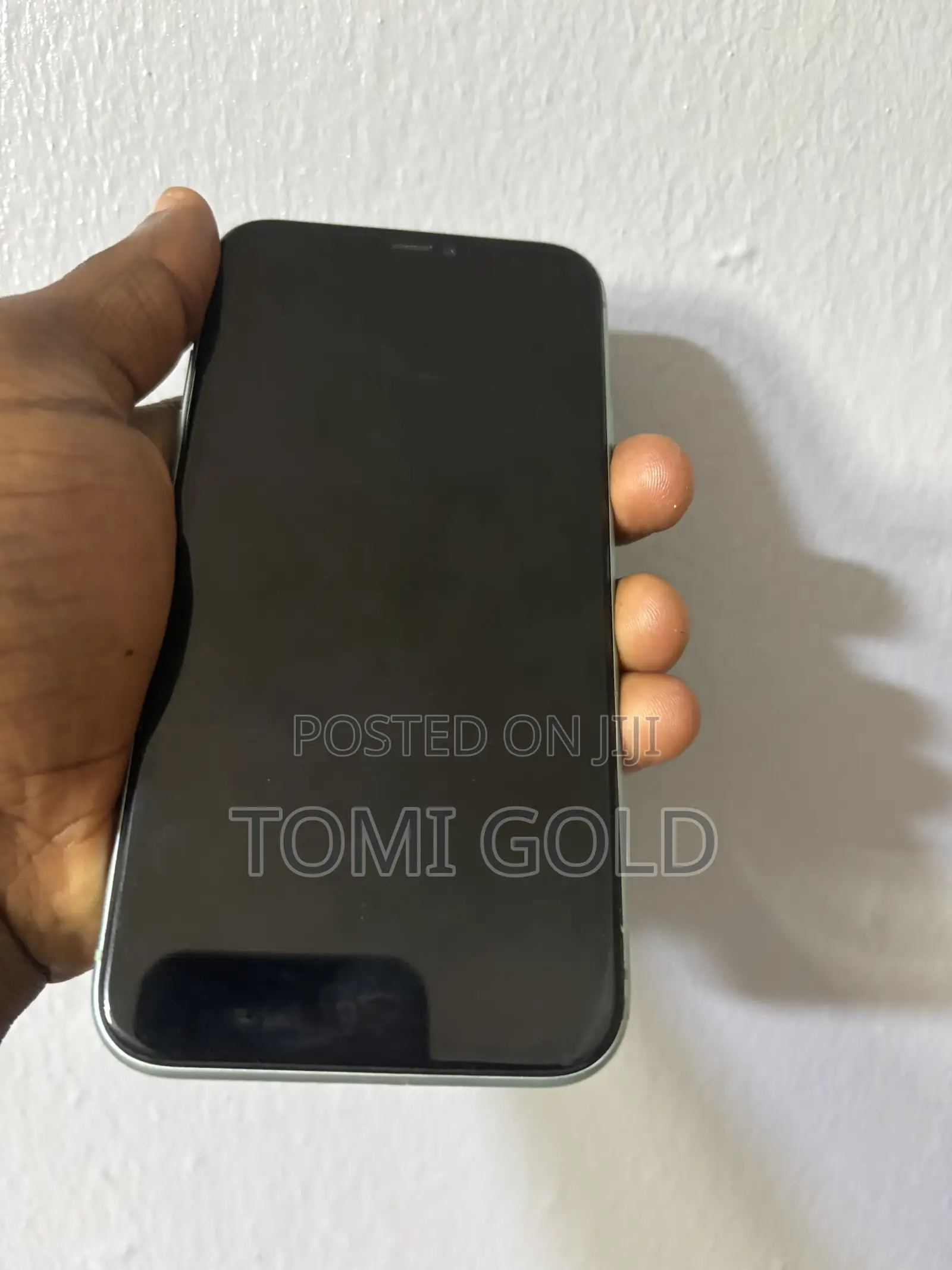Apple iPhone 11 256 GB Green