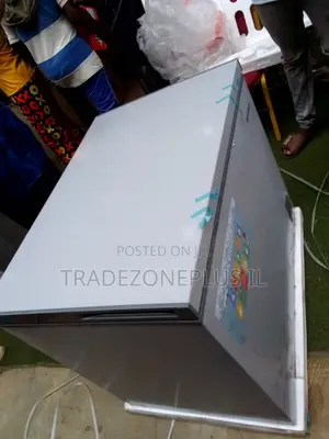 Skyrun BD-260A Food Preservation Freezer