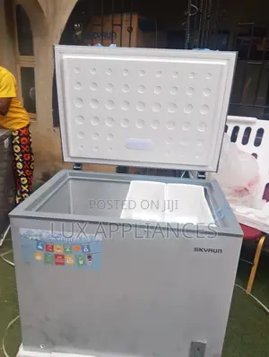 Skyrun BD260A Food Preservation Chest Freezer