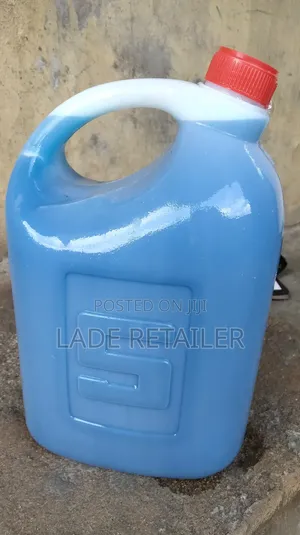 Toilet Wash