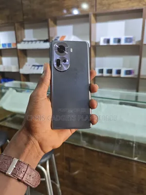 Oppo Reno11 256 GB Gray