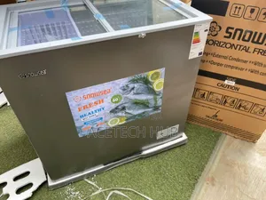 Snowsea 190 Liters Freezer for Home Business